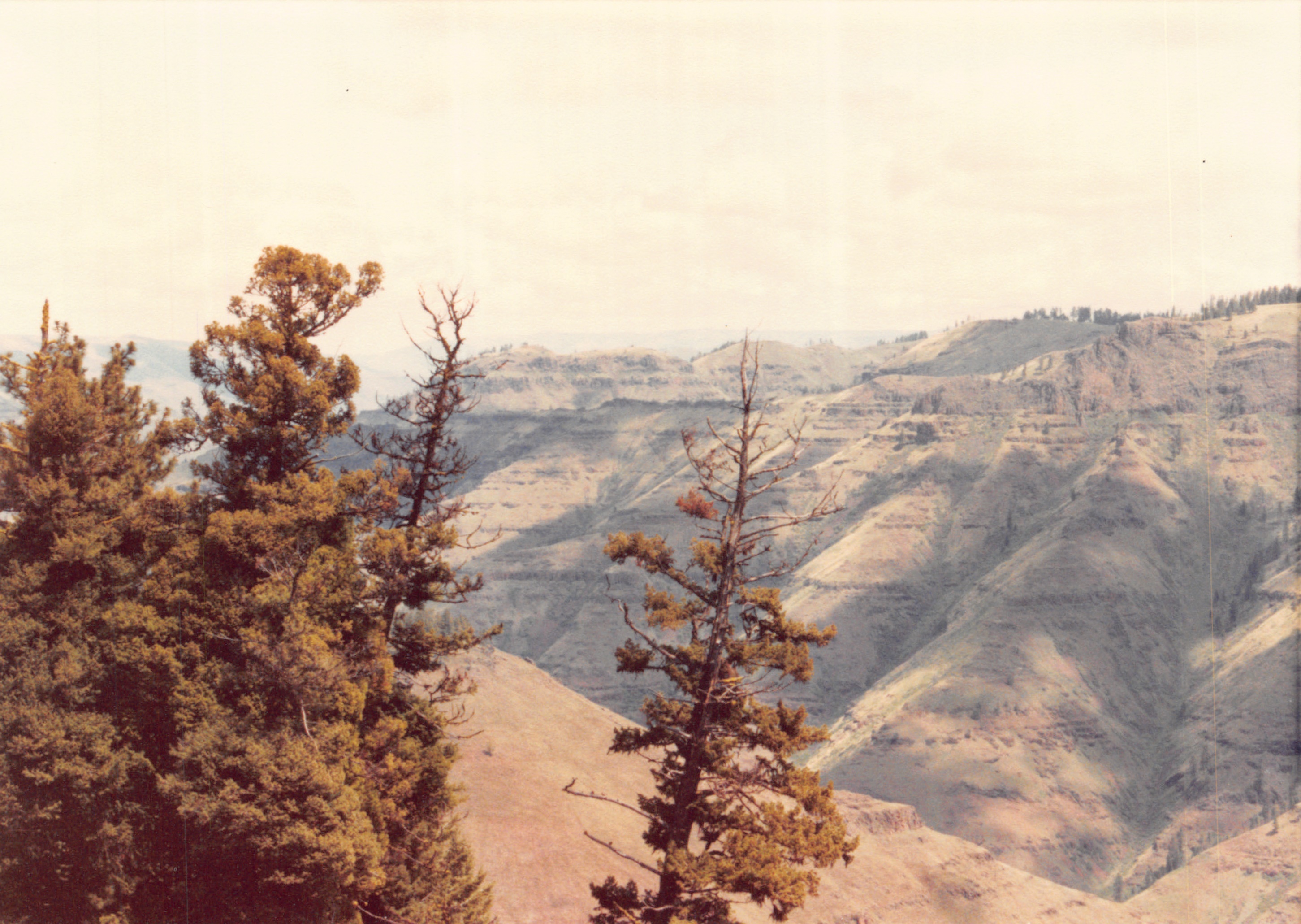 1985_Part 2_01_022.jpg